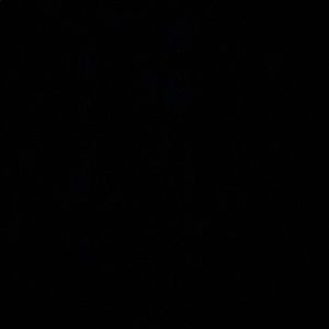 Meet your Posher, Brooklyn